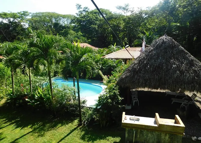 Jungle 5 Sámara