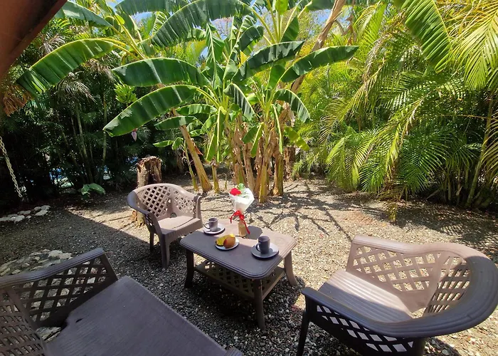Hébergement de vacances Jungle 5 *