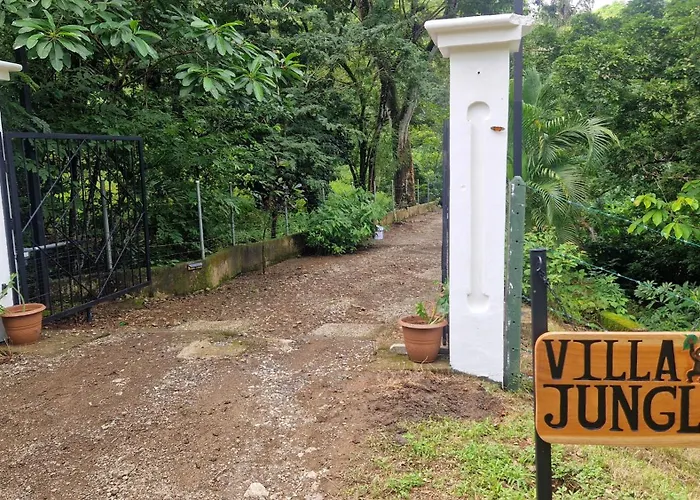 Jungle 5 * Sámara