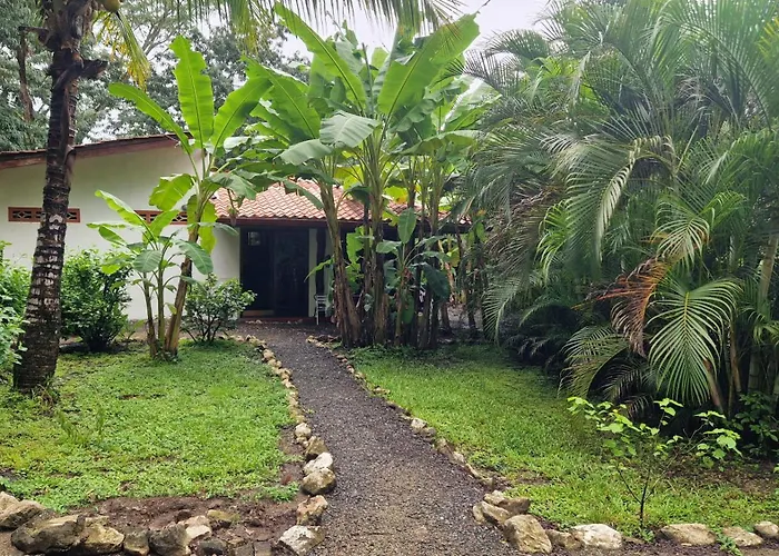 Jungle 5 Hébergement de vacances