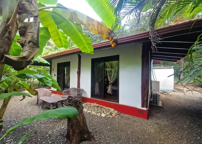 Hébergement de vacances Jungle 5