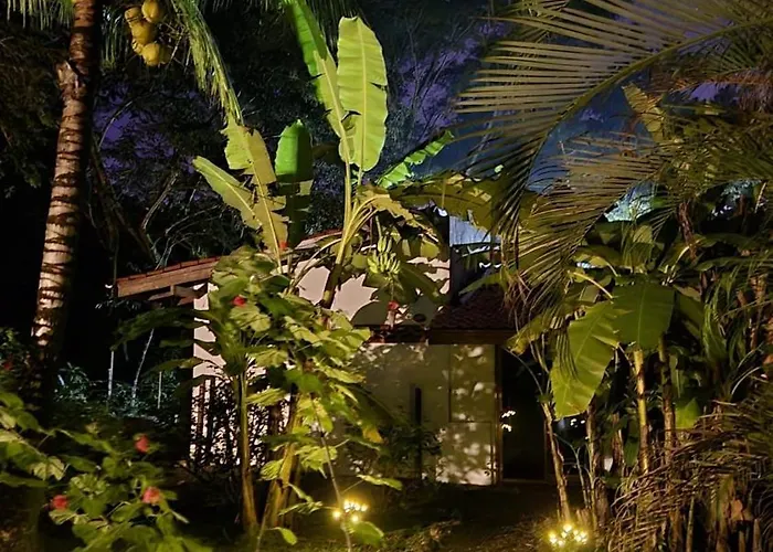 Jungle 5 Hébergement de vacances *